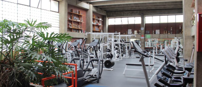 Gimnasio-pesas (1)