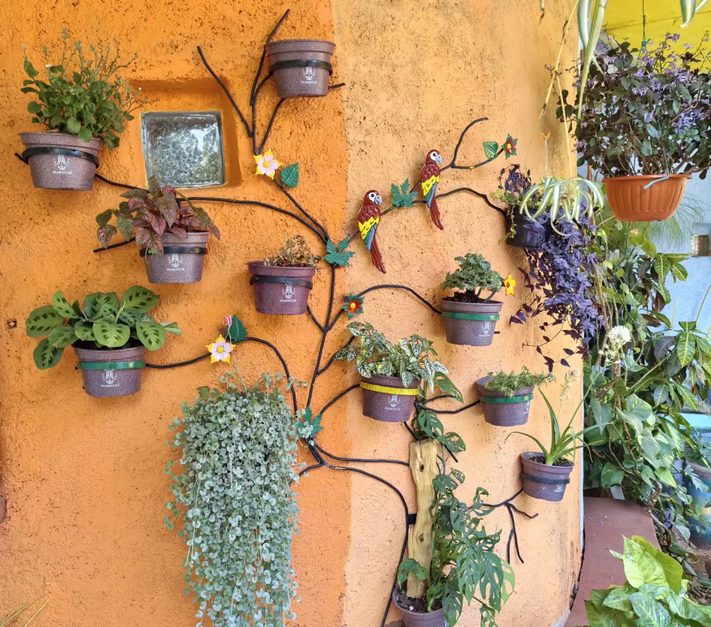 Muro naranja con macetas colgadas en forma de árbol y plantas de sombra