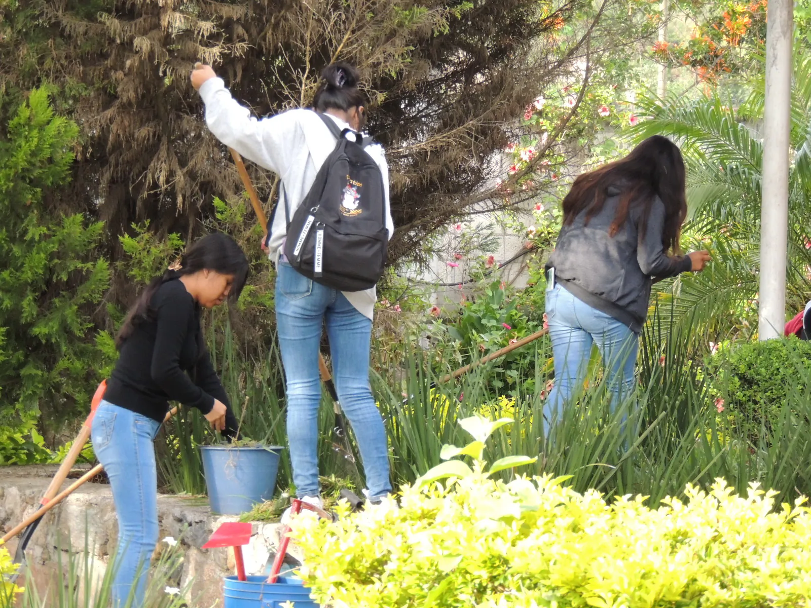 Alumnos cuidando un jardín
