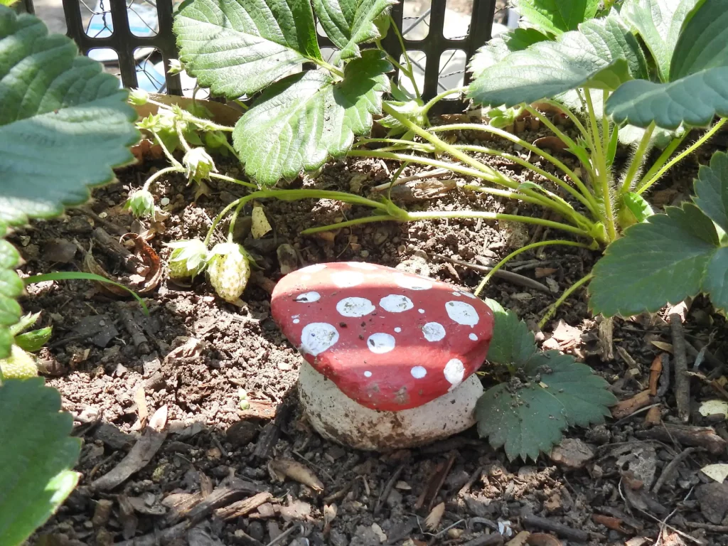Plantas de fresa con un hongo de cerámica rojo entre las hojas