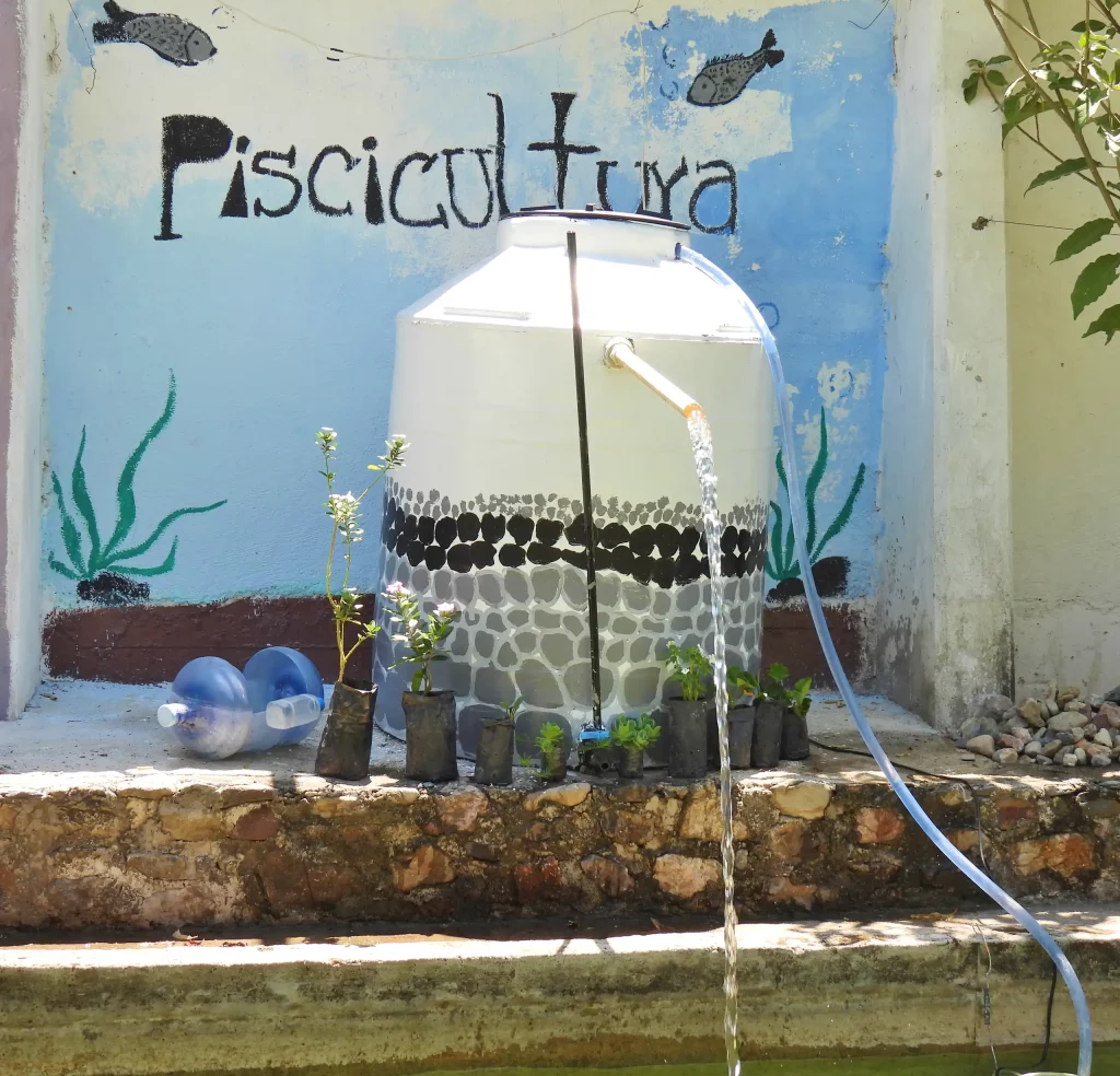 Estanque con un tinaco y un mural que dice «Piscicultura»
