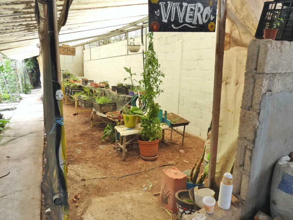 Vivero techado con plantas en macetas sobre mesas y un letrero que dice «Vivero»